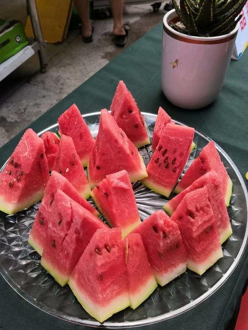 51网红黑料 吃瓜爆料短剧吃瓜爆料大赛每日聚集地,吃瓜爆料短剧大赛，每日聚集地大揭秘！